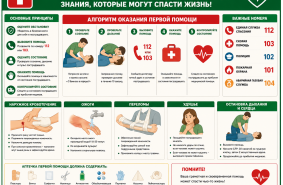 Стенд первая помощь